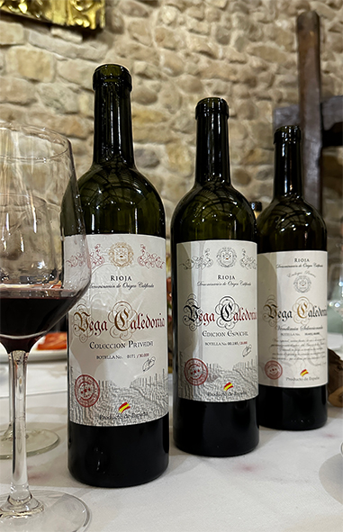 Vega Caledonia Vendimia Seleccionada D.O.C.Rioja